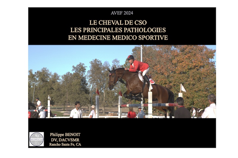 Webinaire Du Janvier H Le Cheval De Cso Les Principales Pathologies En M Decine M Dico